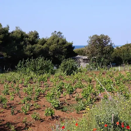 By The Sea Cove Blaca, Mljet - 4899 아파트 *