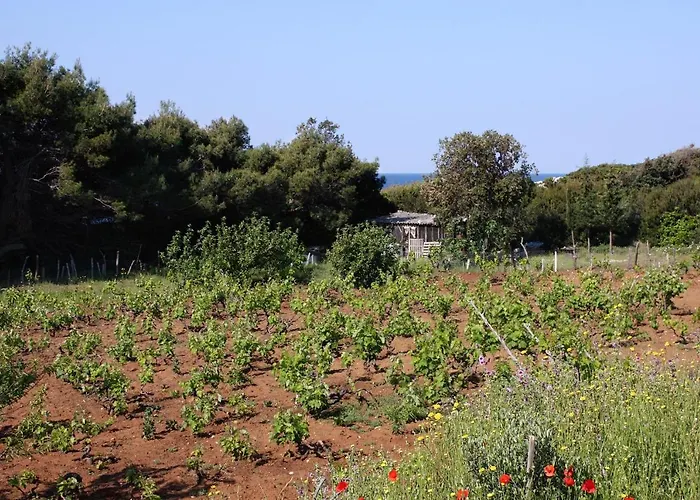 By The Sea Cove Blaca, Mljet - 4899 דירה *